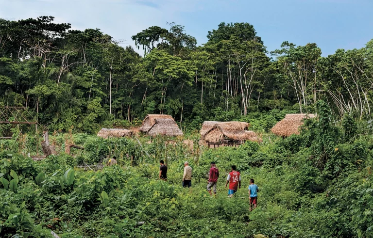 Exploring Indigenous Traditions in the Amazon Rainforest